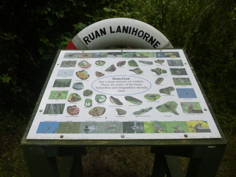 Wildlife Board near Ruan Pond